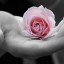 Flor-en-la-mano Flor-en-la-mano