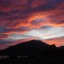 DSC00505