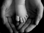 paternidad paternidad