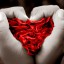 amor