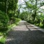 camino camino